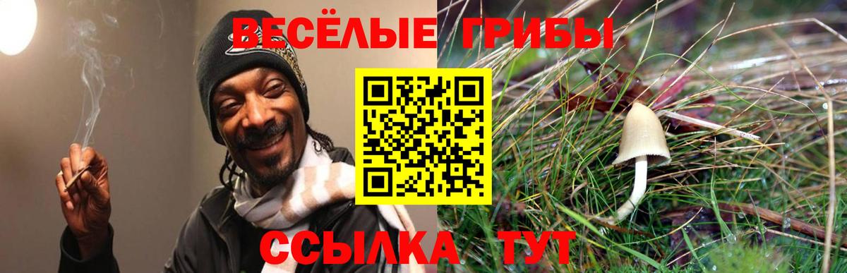 Псилоцибиновые грибы MAGIC MUSHROOMS Тихорецк