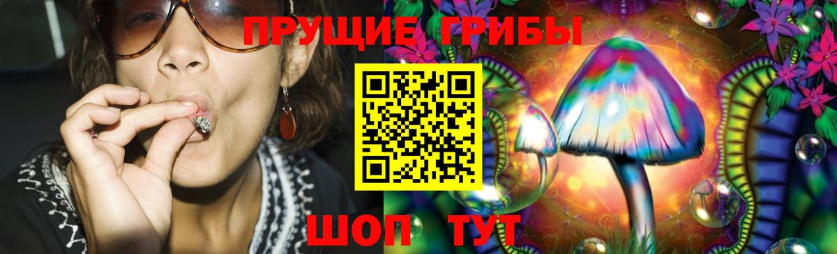 Галлюциногенные грибы MAGIC MUSHROOMS  Псилоцибиновые грибы мухоморы  Тихорецк  Вход с VPN 